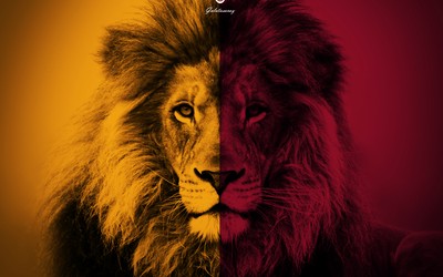 龙珠体育快讯-五盾军团缺少霸气