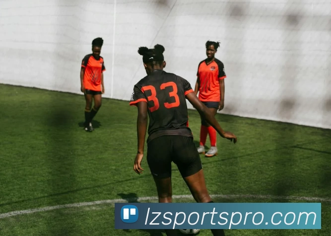 龙珠体育Pro发展历程